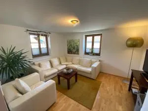 Zentral gelegene Ferienwohnung in Saalfelden - Ecking