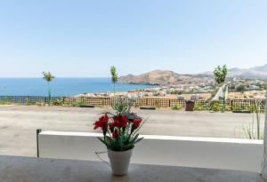 FabView Studio Apartments