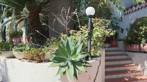 Castelletto Verde img41