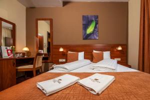 Double Room room in Patak Park Hotel - Adults Only