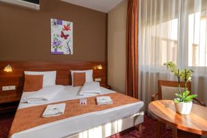Superior Double Room room in Patak Park Hotel - Adults Only