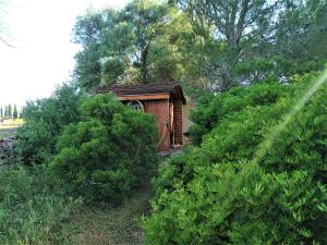 Villas Bergerie eco dans la nature : photos des chambres