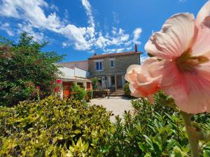 Appartements Les EcoloGites de la Rochelle : photos des chambres