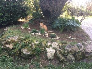 Maisons de vacances La tuilerie : photos des chambres