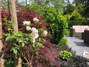 Vakantiehuis “Het Zeepaard”