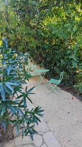 Appartements Le Petit Paradis : photos des chambres