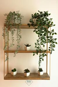 Carré des Lords Disneyland Bmyguest