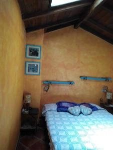 Sa ventana asulla img15