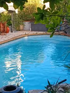 Appartements L'oasis paisible : photos des chambres