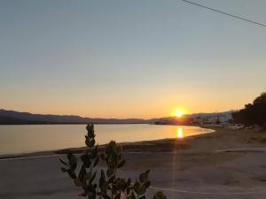 Bahia- apartment by the sea