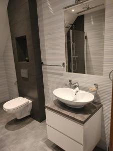 Bieszczadzkie Szlaki