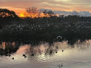 Private Tropical Waterfront Sanctuary w pool, hot tub & an island! Pet Friendly - 4hvězdičkové hotely ve městě New Port Richey
