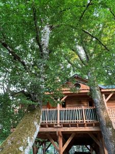 Chalets Charmante Cabane dans les arbres avec jacuzzi et sauna : photos des chambres