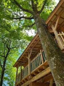 Chalets Charmante Cabane dans les arbres avec jacuzzi et sauna : photos des chambres