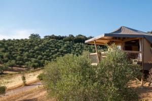 Glamping Podere San Jacopo