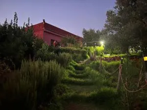 Meknès ait aabba مكناس آيت عبا - Al-Chamisat