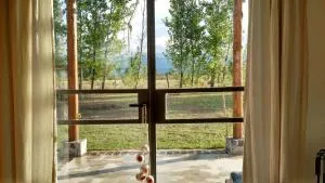 Casa Cuyana - Rama Caída