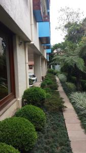 Apartment Ficher Sobrinho