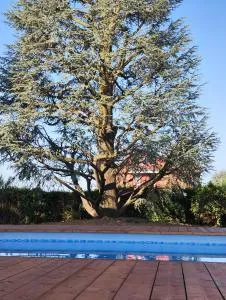 Villa Cresto - Candelo