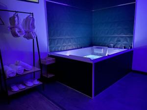 Appartements Privilege Spa, jacuzzi & Sauna : photos des chambres