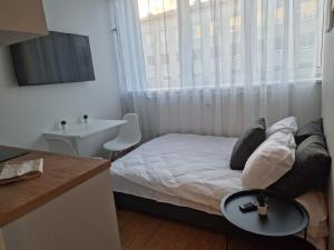 Bright Work&Study Studio with Rest Area