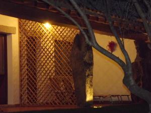 Il Vecchio Ginepro img68