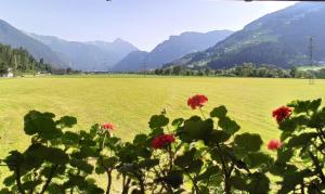 Ferienwohnung Zillertaler Alpenblick