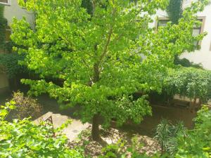 Ferienwohnung Weißes Ross