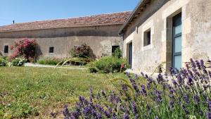 Maisons de vacances Gite de Villodier : Maison de Vacances