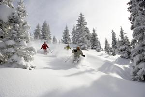 Modern 3 Bedroom Luxury Rental In Cascade Village With Shuttle To Vail Village And Lionshead