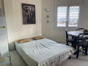 APPARTEMENT MAGNIFIQUE VUE SUR LE CANAL Et LA MER DEMPURIABRAVA