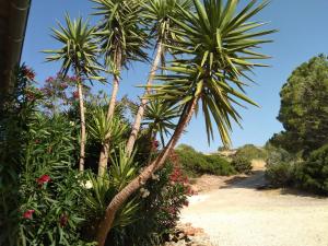 Villas Bergerie eco dans la nature : photos des chambres