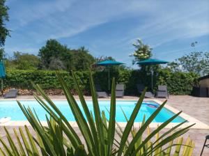 Maisons de vacances Le Clos de la Musardise - Gites de Charme avec Piscine Chauffee : photos des chambres