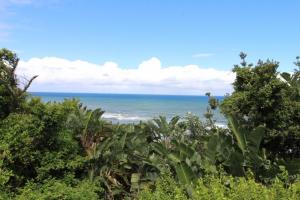 Caribbean Estate Escape Avail 01 to 08 Jan 2027 only