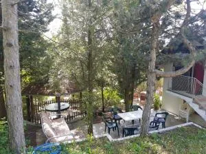 Aja Holiday House - Bukovac