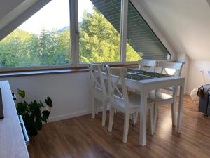Apartment Židana marela - Attic with a View 