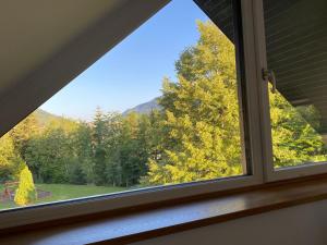 Apartment Židana marela - Attic with a View