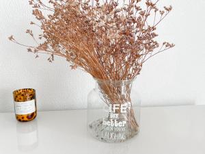 Sunny House Albufeira