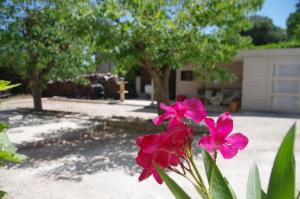 Le Grand Cèdre - 2 Chambres dhôtes - Sud Ardèche