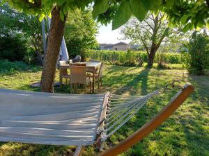 B&B / Chambres d'hotes Songes de vigne : photos des chambres