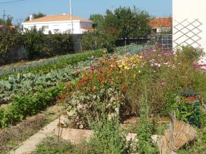 B&B / Chambres d'hotes Chambre d'hote Fleur de Potager : photos des chambres