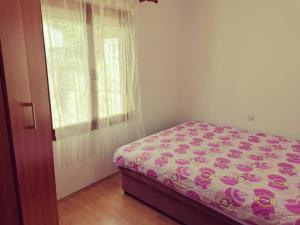 Apartman Lenka