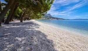 Old town Makarska apartments - central square 