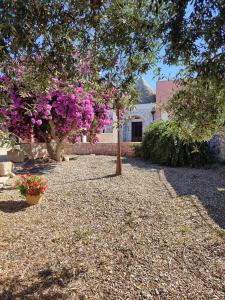 I Trulli di nonno Oronzo