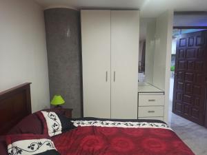 Vive el esplendor del Centro Histórico