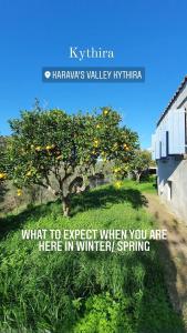 Diamoni Afroditi two houses for max 6 persons