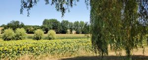 Maisons de vacances Beautiful 4 bedroom property near to Monflanquin : photos des chambres