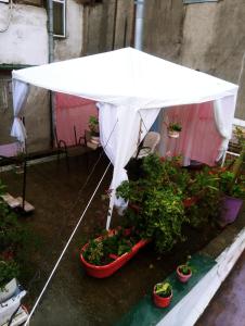 Apartment on Melashvili 24 (Old Batumi)