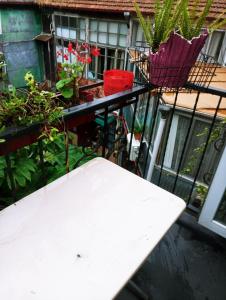 Apartment on Melashvili 24 (Old Batumi)