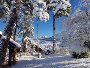 Chalets Magnifique chalet en rondins avec sauna - Vercors : photos des chambres